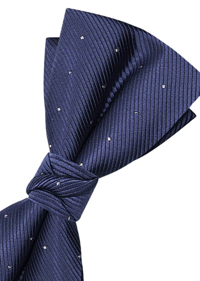 Blue-Elegant-Polka-Dots-Pre-Tied-Bow-Tie-Business.png