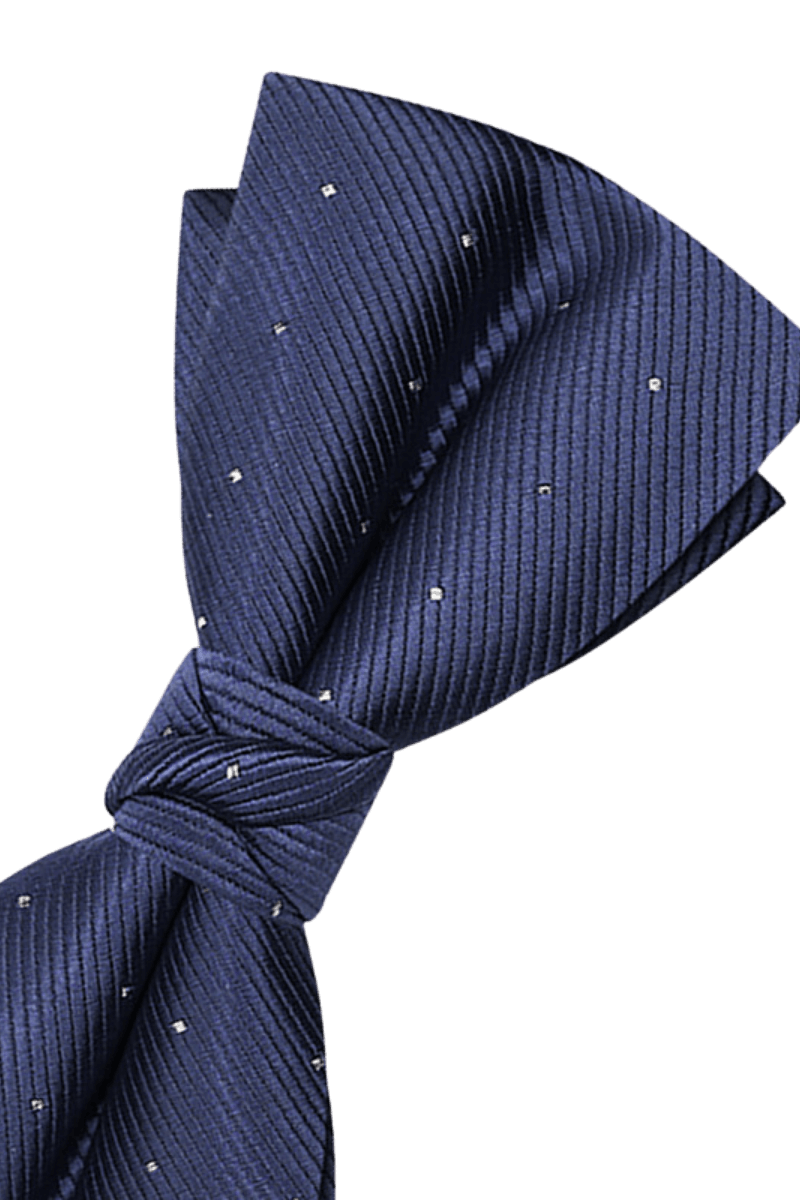 Blue Elegant Polka Dots Pre-Tied Bow Tie