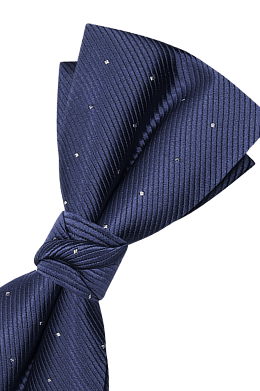 Blue Elegant Polka Dots Pre-Tied Bow Tie