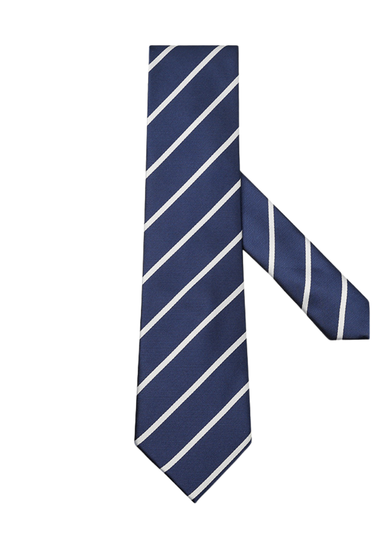 Blue-Stripe-Casual-Business-Formal-Tie.png