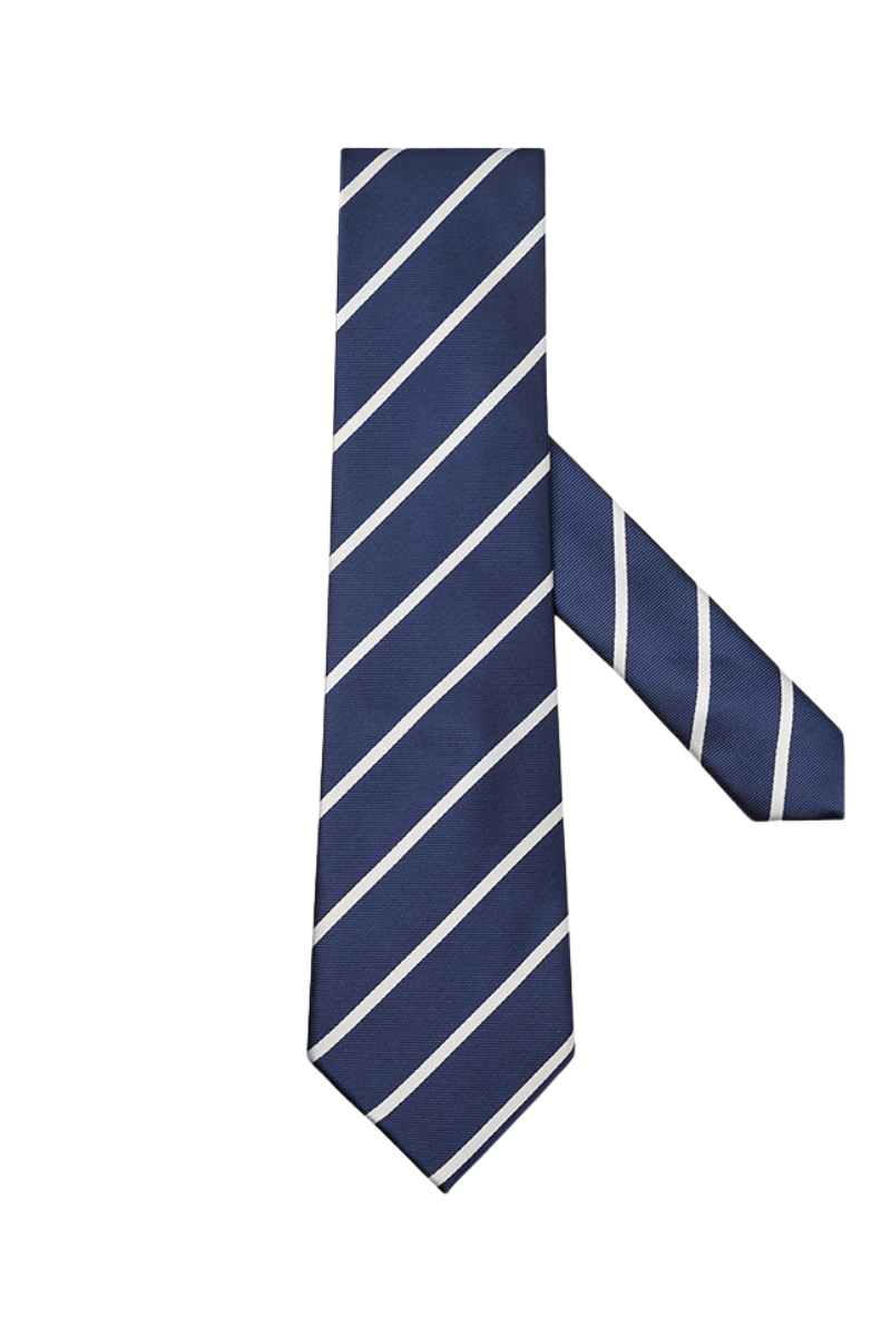 Blue Stripe Casual Business Tie