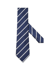 Blue Stripe Casual Business Tie