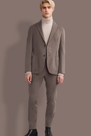 Brown Regular fit 2-Piece 2 Button Suit