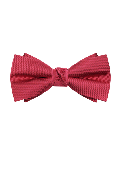 Nœud papillon rouge pré-noué pour homme