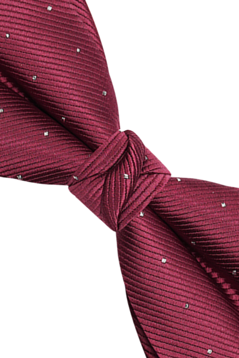 Nœud papillon pré-noué élégant à pois rouges 