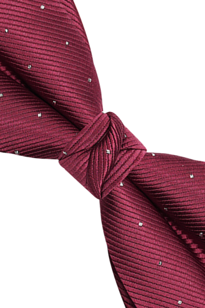 Nœud papillon pré-noué élégant à pois rouges 