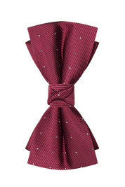 Red Elegant Polka Dots Pre-Tied Bow Tie