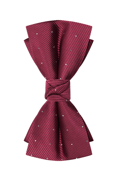 Nœud papillon pré-noué élégant à pois rouges 