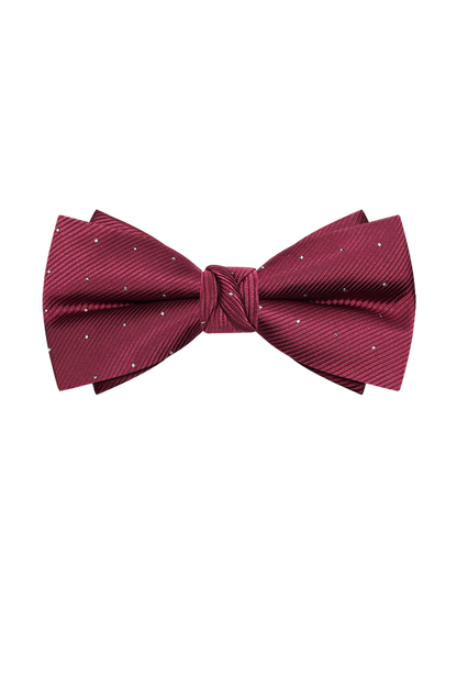 Nœud papillon pré-noué élégant à pois rouges 